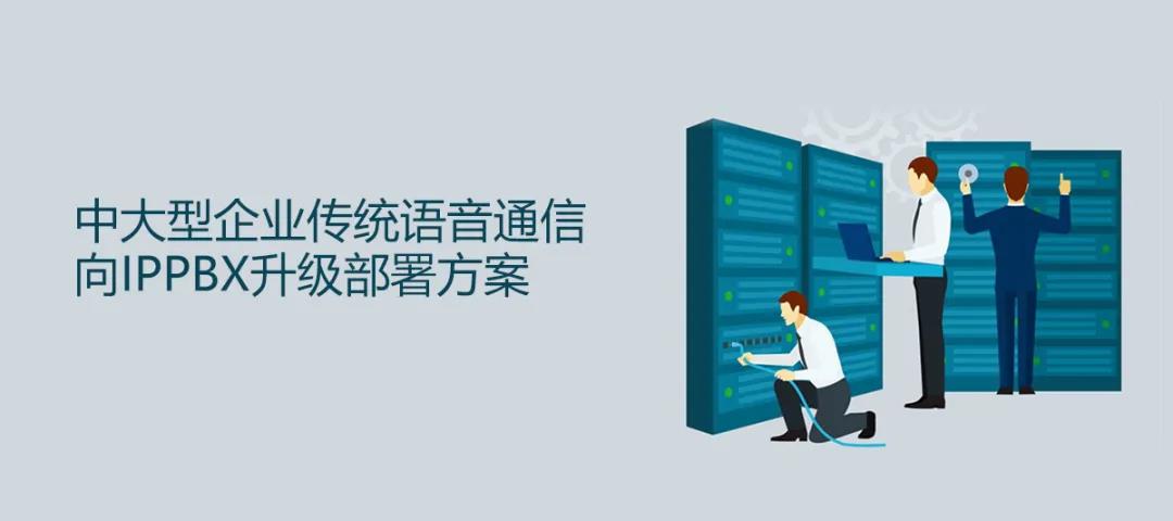 利達信中大型企業(yè)傳統(tǒng)語音通信向IPPBX升級部署方案